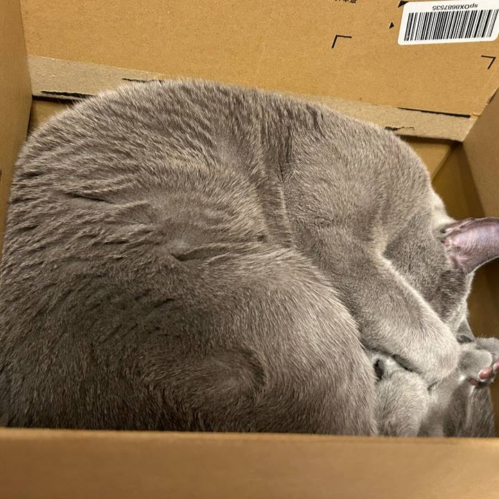 Ec541115 0576 4d56 bf92 ef4ca6e4819d 1737271043683