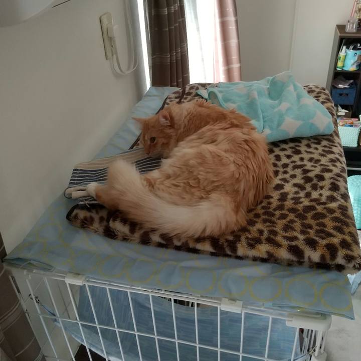 Ec54123e d04a 42bc a726 5a550784da7f 1632884525878