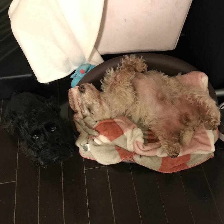 Ec542443 be47 4e07 a1e6 c97502cb7018 1549296289168