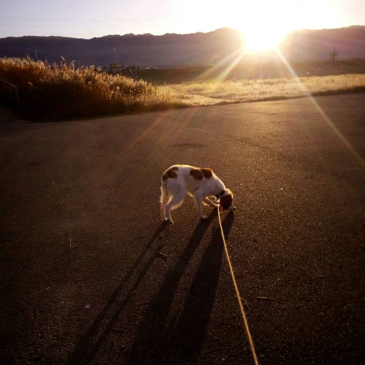 Ec542cea 61da 414d b8bf acaba941b03b 1512171770667