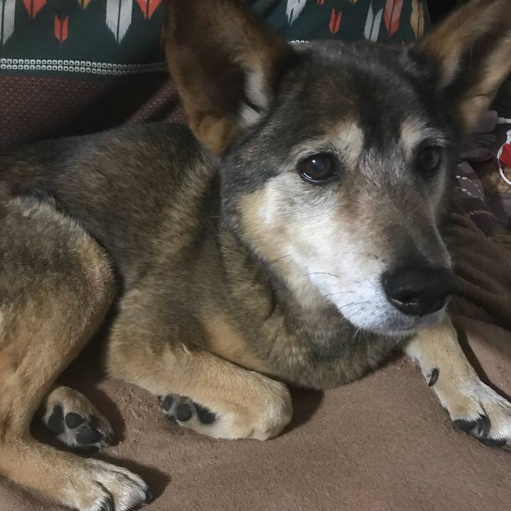 Ec544f22 b9af 4289 931c e6a2417994c4 1522424391858