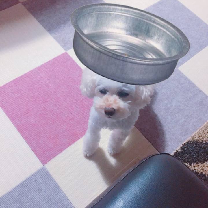 Ec545bc5 bda4 44b6 ba2a 675264d1b47c 1536369214288