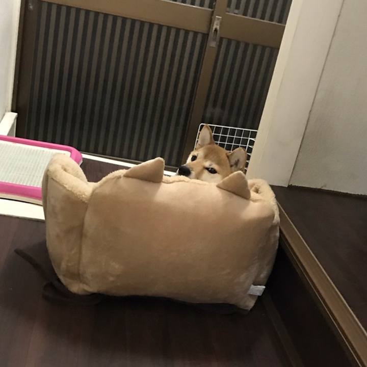 Ec5466c3 5ebf 4a72 9cd6 6cbc977d3a98 1559449732526