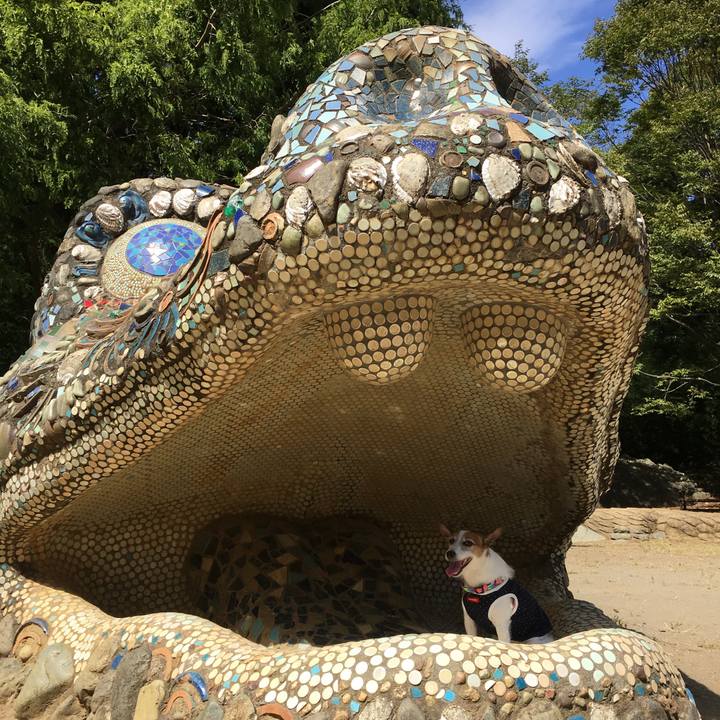 Ec548fc7 8d31 4247 bc8a 62933a021c84 1569723656615