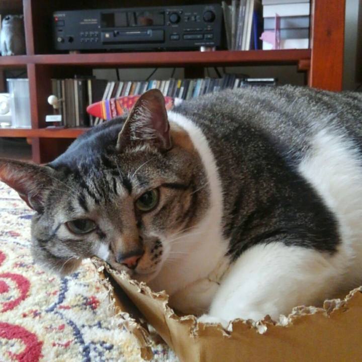 Ec5495ad 45fb 4689 b0a2 72949e6f04e9 1508464316461