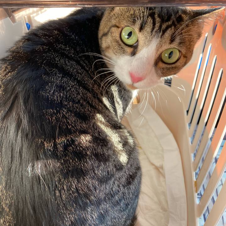 Ec54d414 f6f8 4b87 8b94 d4d4db13b081 1630413182096