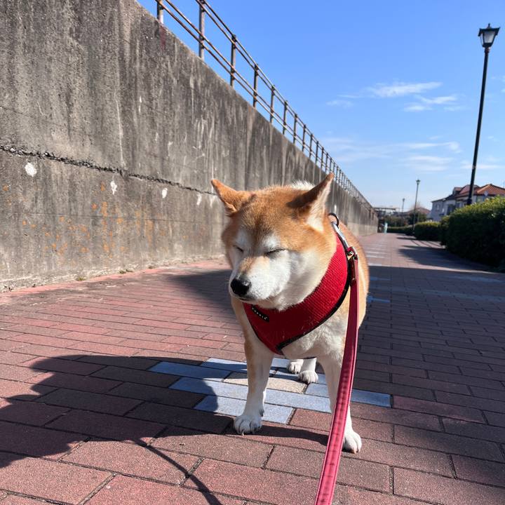 Ec54e141 78ef 40a2 ae9f 28e0bc75b586 1706668813866