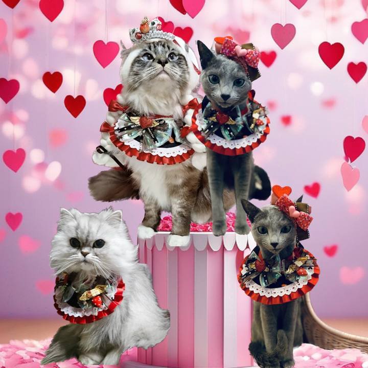 Ec54e981 b22b 4758 a823 2b54055eb6cc 1708472916433