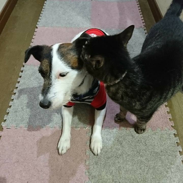 Ec54f4d3 3f2b 41f5 8840 6ba94d57a3f9 1520939740489