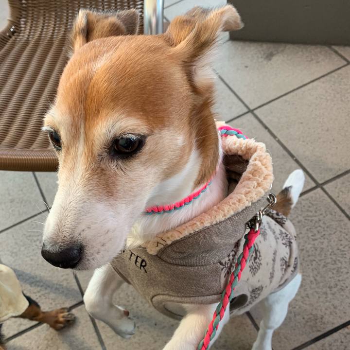 Ec551f58 95d6 4b10 9d55 8f13aed5aac7 1543130835097