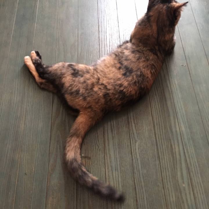 Ec552e09 9b75 44a4 8879 590d1f9bb28d 1538237574049