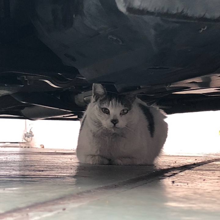 Ec5576a2 0a52 48df 8fa8 f5f5d9bc6400 1552589870242