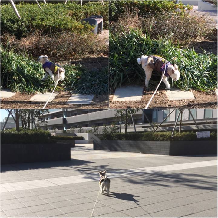 Ec55861d b17c 48d3 8d01 2be9407f6167 1547889018779