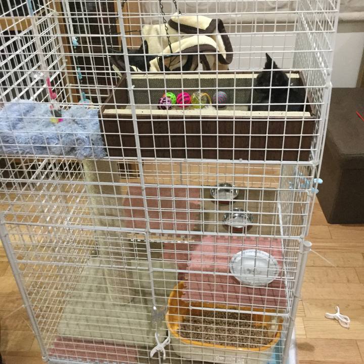 Ec559cc1 39f9 48b5 9019 2bfffe571b18 1512622768552