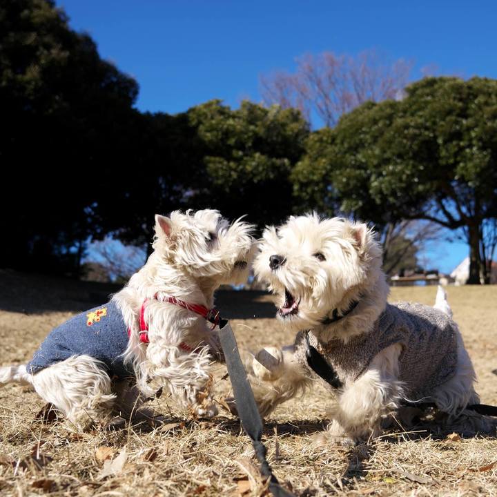 Ec55ac58 40ea 49c5 baa8 4b2d29127acc 1514986759493