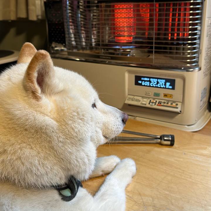 Ec55b50f 9f13 46a0 af8e d96d3b59fc95 1745961388925