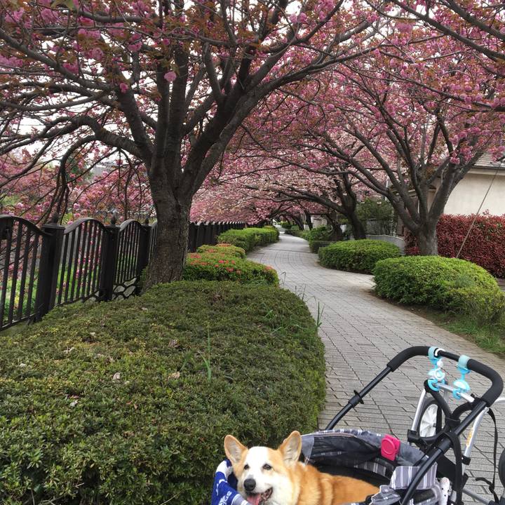 Ec55d9f9 60e1 4547 a289 44cbf2fb6eec 1555491020190