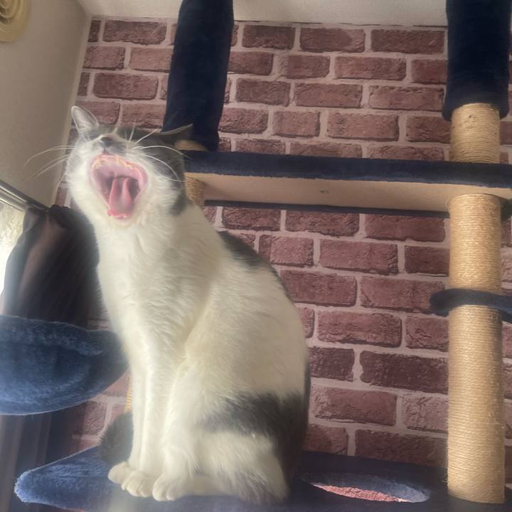 Ec55dc73 a249 4e9e b5be 190c93a27ce4 1707266352404