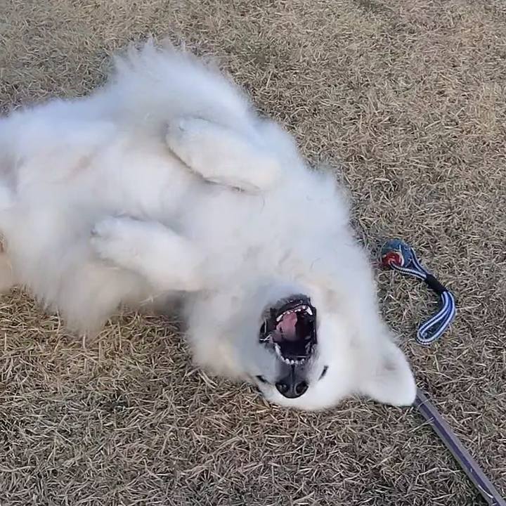 Ec560fb8 4f86 47f6 8b62 3848a62c0c8b 1679177673221