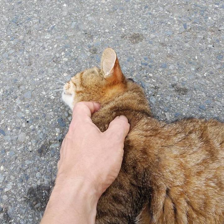 Ec561973 9a36 4749 8865 ef369ef81031 1601945836367