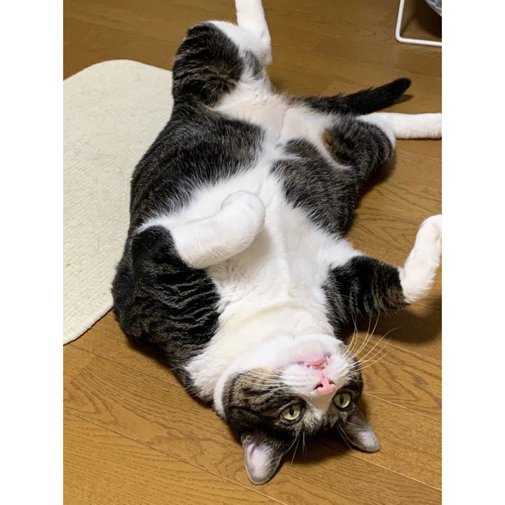 Ec5651ac 5a80 42bf b55d fdb1cda0340c 1625990545007