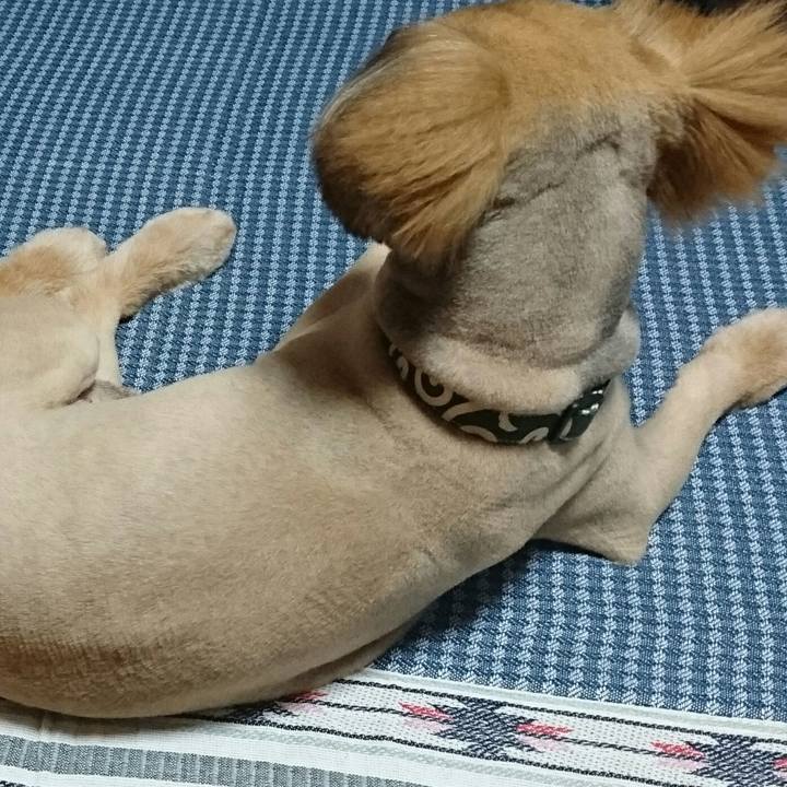 Ec568d37 5723 414d 9007 4f8361eebb25 1528366917998