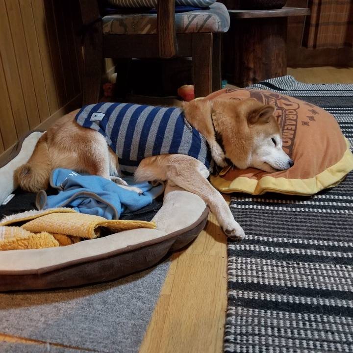 Ec568dc3 02cc 4c6a bb58 bf630d8d58b3 1611399431135