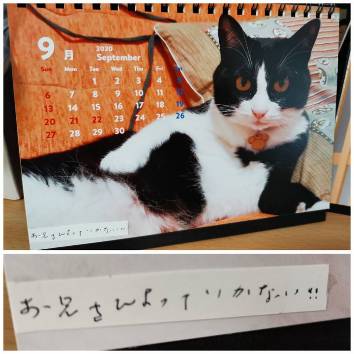 Ec56e559 f8b3 48a1 80df ba2b697b8a51 1601736787374