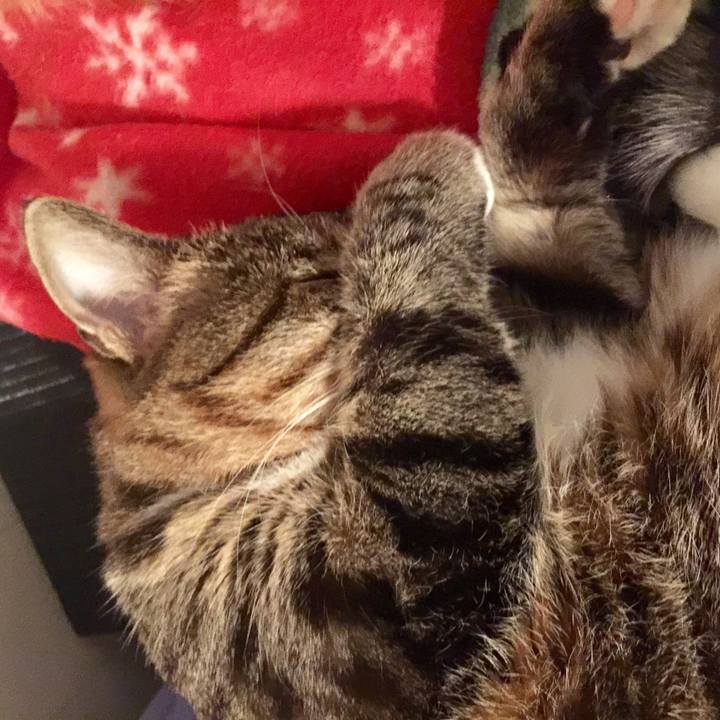 Ec57241d b90e 4fbf 9f09 b964c5bae7cc 1575895136568