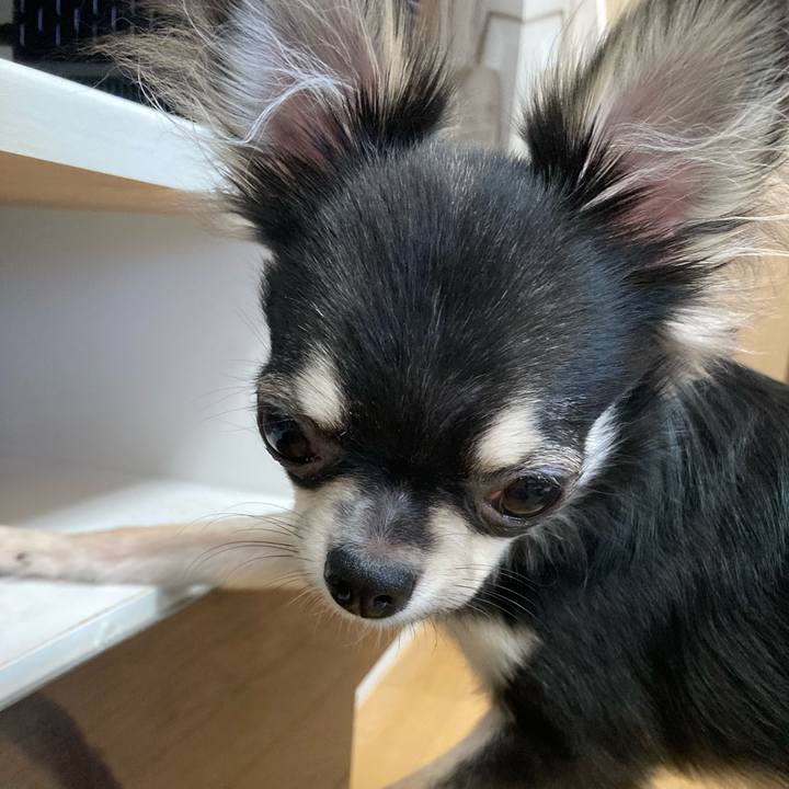 Ec574a38 23e4 4339 8a6e de2609062c1c 1599741316545