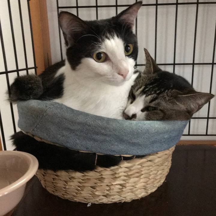 Ec5751d2 5614 4f55 9b9f e870e82f7bad 1526967325737