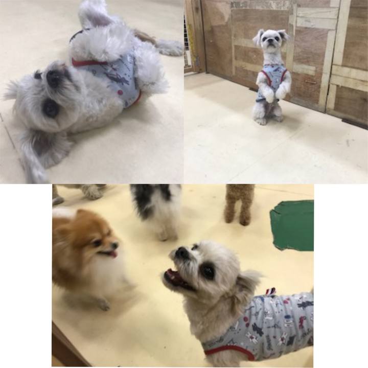 Ec57642a 6841 474c 9372 a06da5c30954 1518089191642