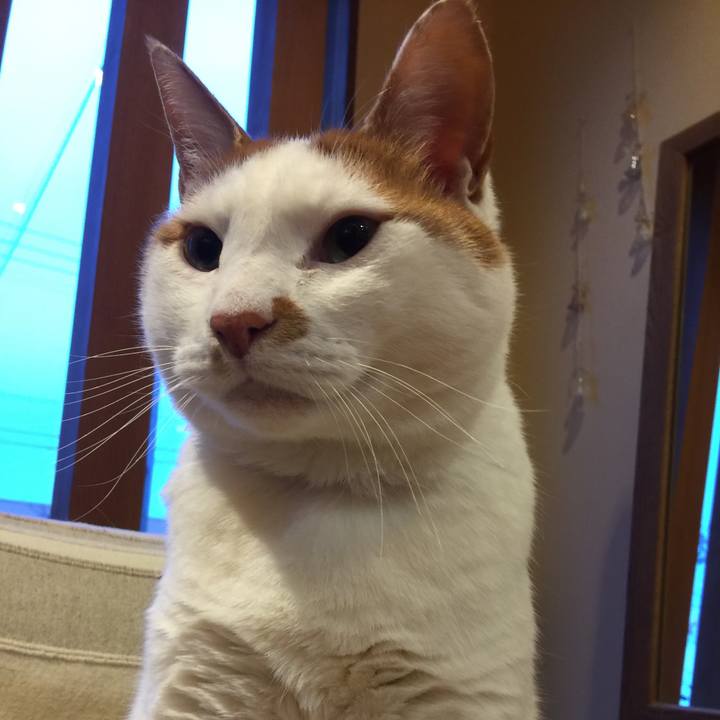 Ec57d631 00eb 4eff afec d50df9b6fd75 1521632063988