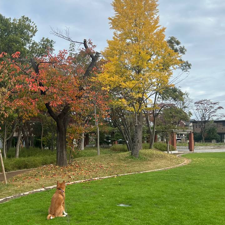 Ec580fb5 17f4 49b3 875e 35e244f714a7 1731807050747