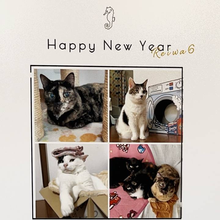 Ec582a04 f3d7 414f 9a32 013ce6907753 1704083925939