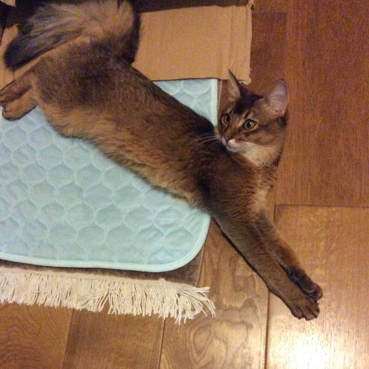 Ec5883e1 1cfa 4264 9f79 7352f7c4041d 1567005623549