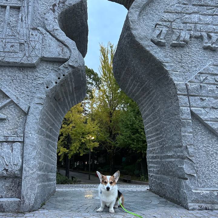 Ec58c09b 3027 4069 b948 042f32633dd8 1763048061969