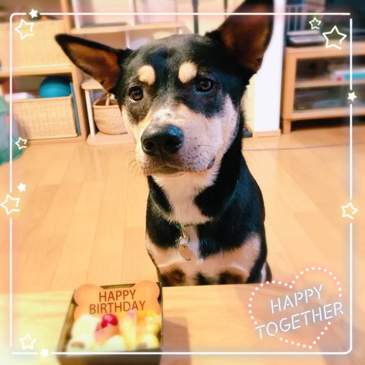 Ec58d127 6bae 422f aa4e dfe210d87d7d 1531401771893