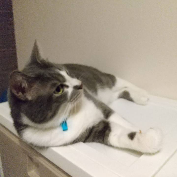 Ec58dfc3 f89e 4b39 b9d5 a58a59515b10 1650972731421