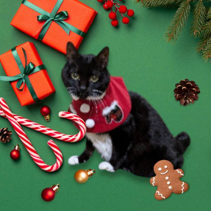 Ec58f461 5fa4 46c8 8a53 d56d37cc53ed 1766571720610