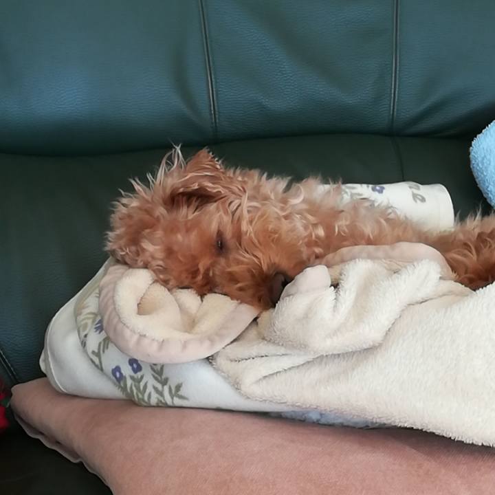 Ec592b2e d0ee 4c7f b0b0 be0365490cb9 1549081477072