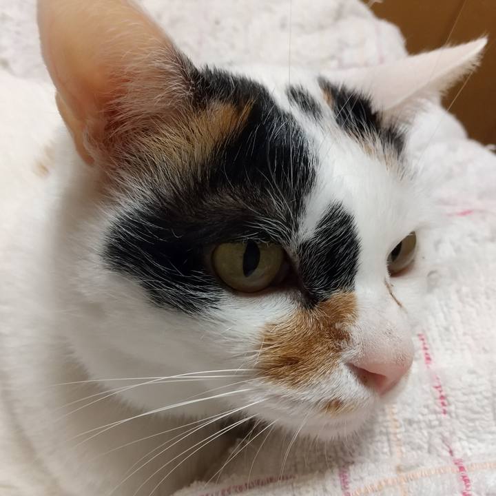 Ec594bb4 66d9 4777 90d7 62f842a663c1 1578926041679