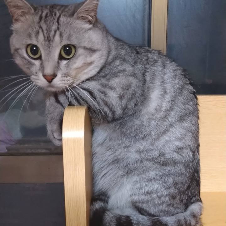 Ec596877 7b56 4164 a998 b139a5c7e9cf 1599301599384