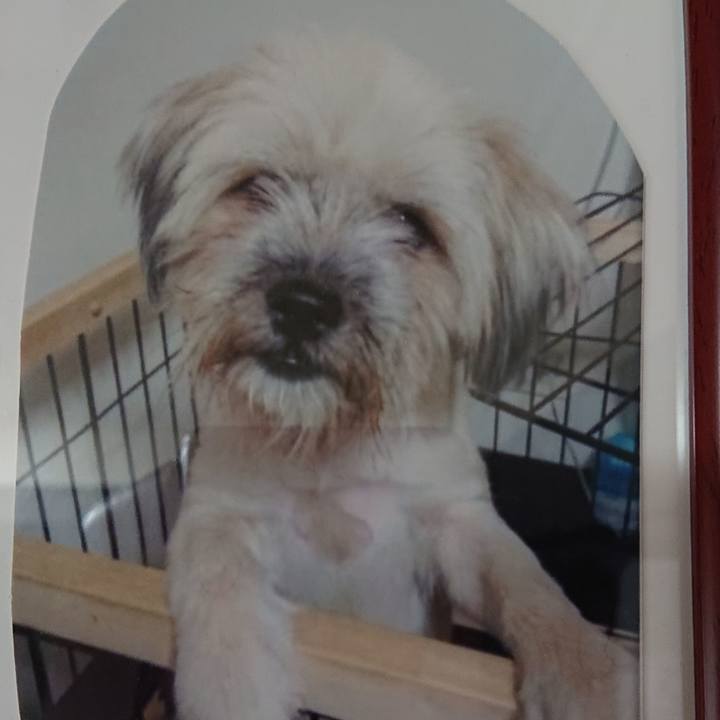 Ec597aca c85d 4aa8 851c 1b70f89715af 1567155059422