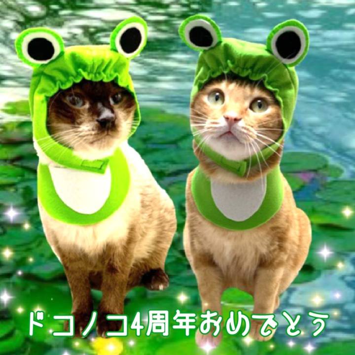 Ec5998ab e787 477e a7d2 58e05298b9c9 1591306606331