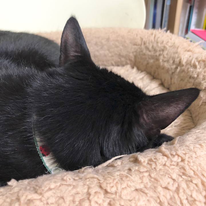 Ec59acbf 6ec9 4f1a a049 e66e4672ce71 1590062659940