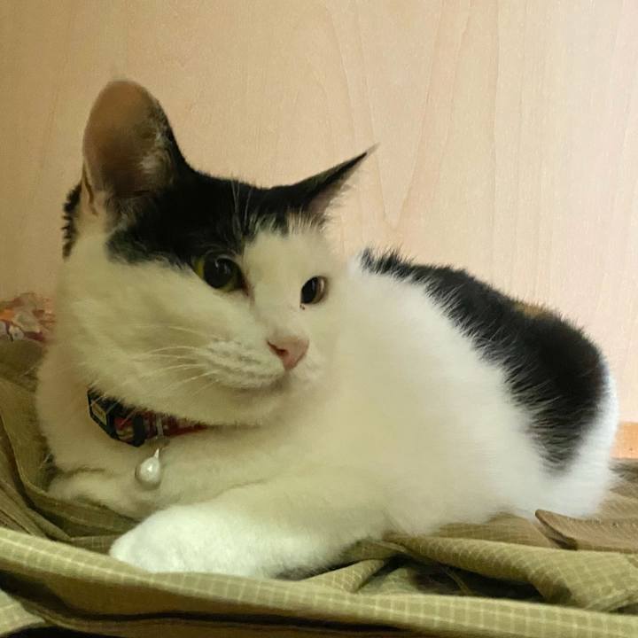 Ec59b177 2c30 4972 bb00 1bd5e3efeeed 1661462562238