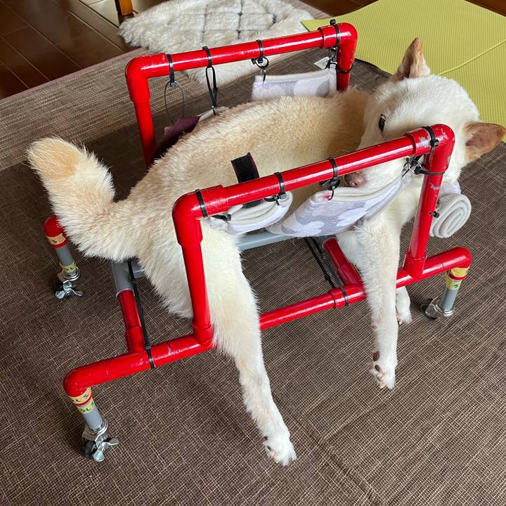 Ec59b51c df66 498f 871d 064602b57091 1660657004979