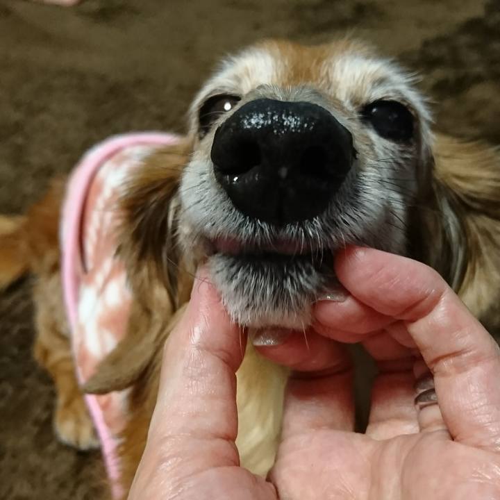 Ec59b767 57f0 4ff1 b6be fbf11ac32609 1515317506846