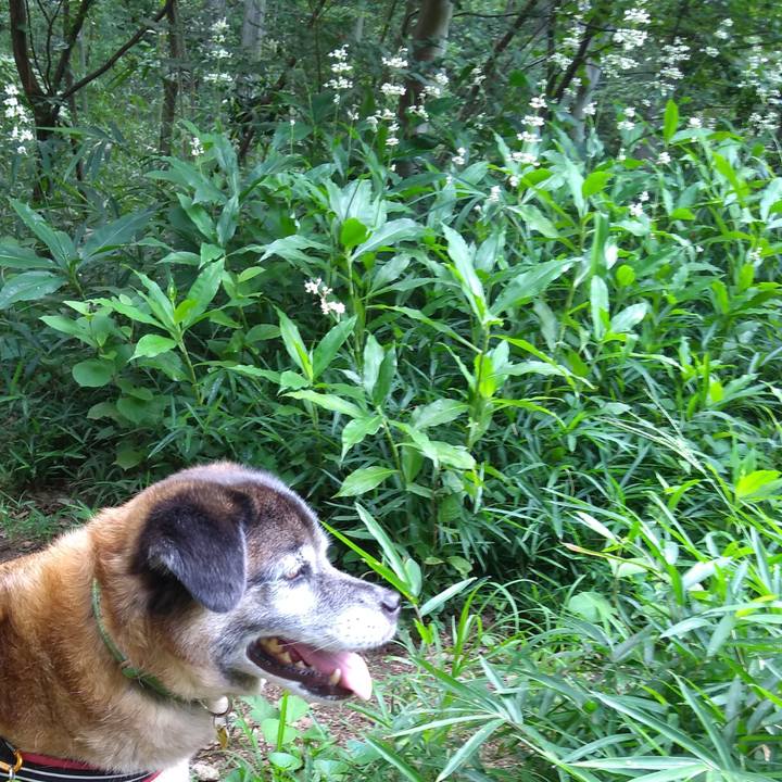 Ec59d485 c6a3 448b bdcd d221cdaaebfb 1564702934906